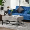 Modern Grey Lift Top Coffee Table w/ Hidden Storage