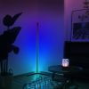 Multi-color Corner Floor Lamp