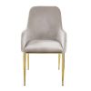 Barnard Side Chair (Set-2) Gray Velvet; Mirrored Gold Finish